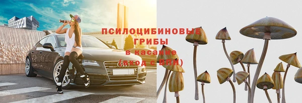герыч Осташков