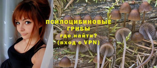 герыч Осташков