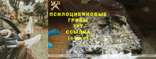 герыч Осташков