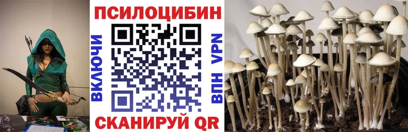 Галлюциногенные грибы GOLDEN TEACHER  купить наркотик  Осташков 