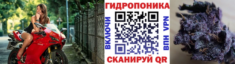 это наркотические препараты  Осташков  Каннабис OG Kush 